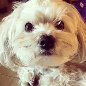 Meet your Posher, Sue